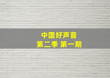 中国好声音 第二季 第一期